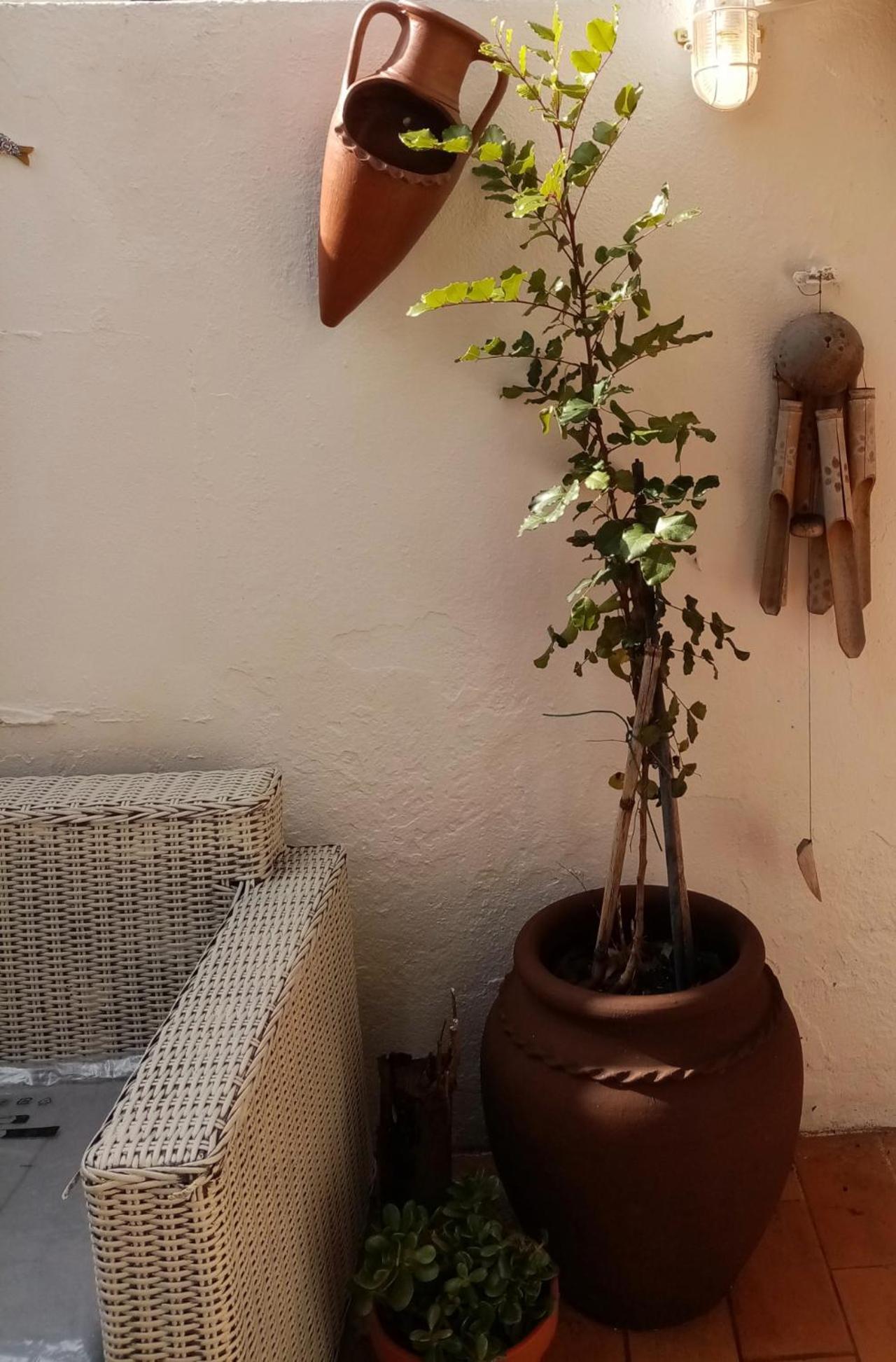 فيلا Casa Rustica Olhão المظهر الخارجي الصورة
