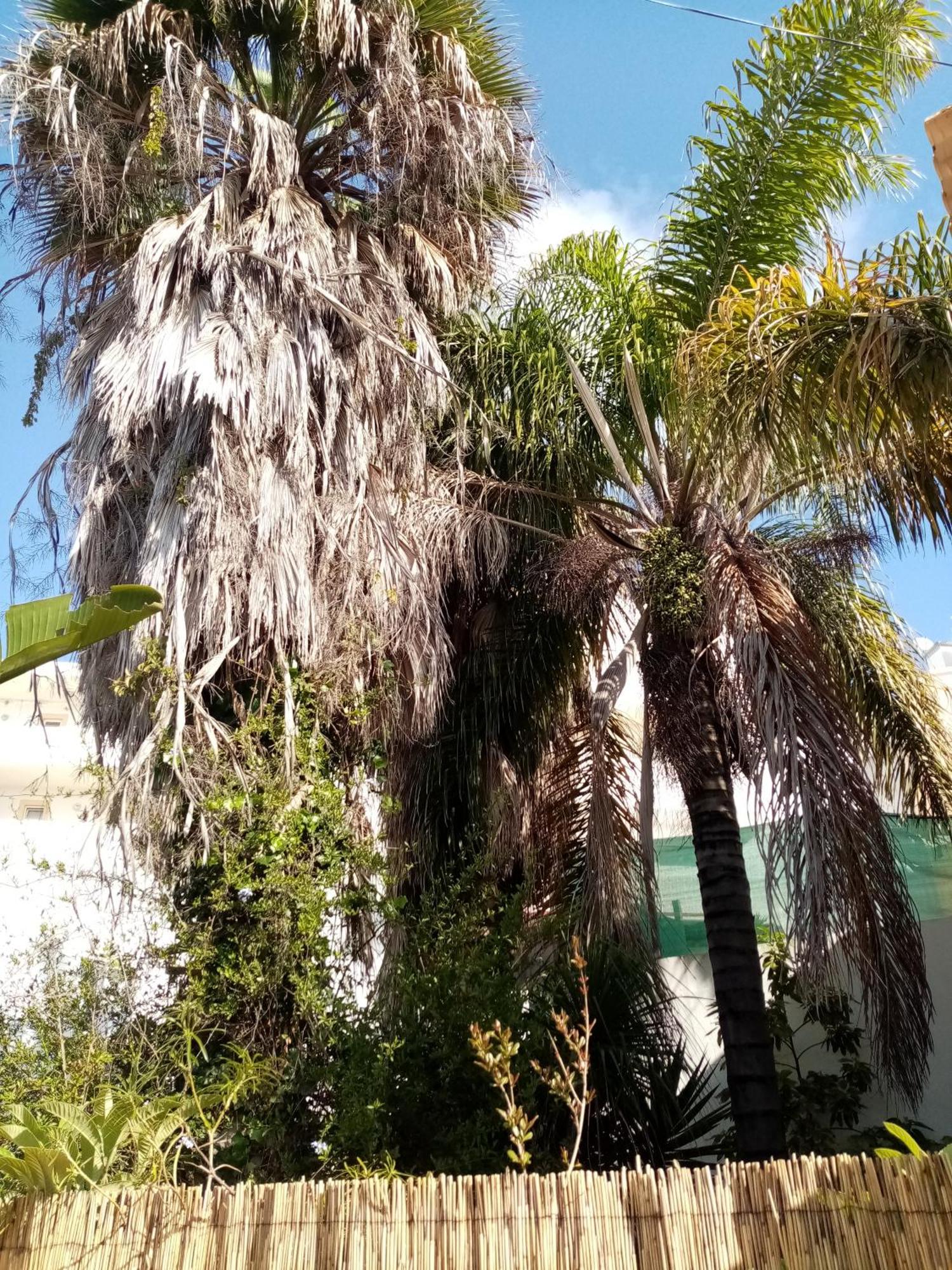 فيلا Casa Rustica Olhão المظهر الخارجي الصورة